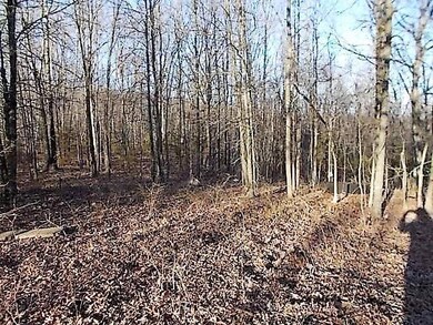 0 State Highway 248 unit 60105000, Jenkins, MO 65605 - photo 5