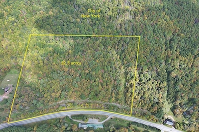 0 Route 23a unit 20253899, Lexington, NY 12452 - photo 2