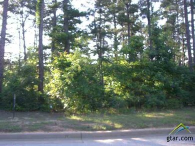 4040 Hanover Place, Tyler, TX 75701 - photo 2