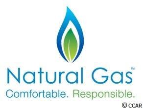 3008 Little Bay Dr unit Live Oak  Lot 35, Conway, SC 29526 - photo 2