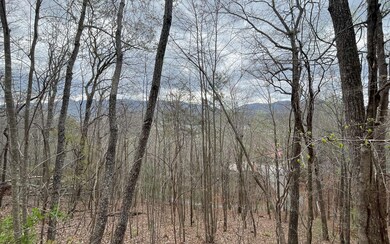 Additional View