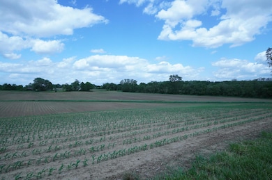DSC02348