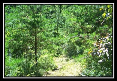 0 N Fairview Rd, Logan, OH 43138 - photo 5