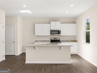 Sample Flora Kitchen at Oaks at Cedar Grove in Fairburn, Georgia