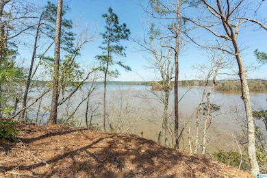 87 Water Spring Ct, Rockford, AL 35136 - photo 2