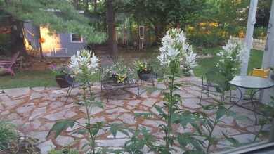 Photo 5
