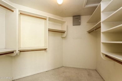 3537295-830w553h