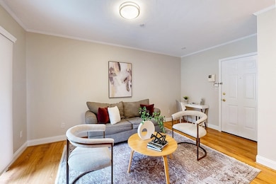 111 W 8th St unit C, Boston, MA 02127 - photo 4