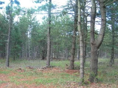 W4054 29th St, Necedah, WI 54646 - photo 4