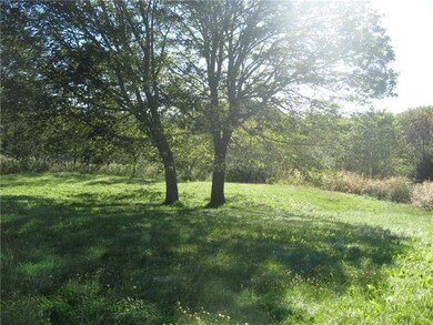 Yard/Garden.