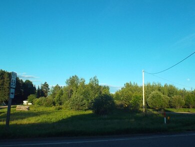 ON Hwy 32 unit Lot, Argonne, WI 54511 - photo 6