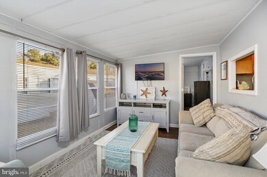 137 Salt Spray Dr, Berlin, MD 21811 - photo 4