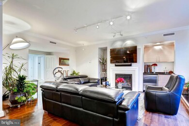 The Ritz-Carlton Residences unit T33, Baltimore, MD 21230 - photo 6