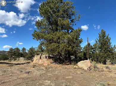 3549 County Road 265, Westcliffe, CO 81252 - photo 6