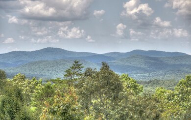 Additional View