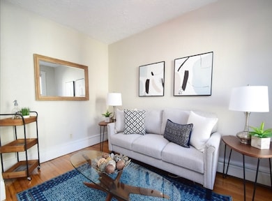 217 Boylston St unit 2, Jamaica Plain, MA 02130 - photo 2