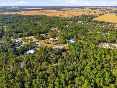 1811 County Road 243d, Wildwood, FL 34785 - photo 6