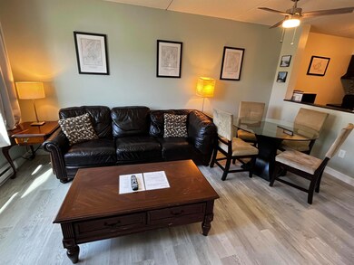 28 Packard's Rd unit 213, Waterville Valley, NH 03215 - photo 2