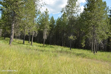 NKA Sylvan, Athol, ID 83801 - photo 6