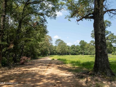 1099-Hwy-11-Petal-MS-106