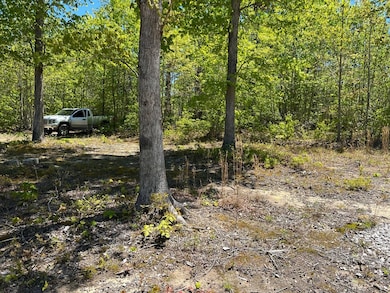 Lot J McCartt Ridge Ln, Sunbright, TN 37872 - photo 7