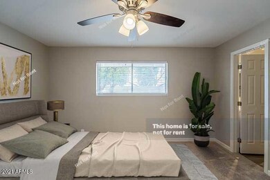 24365011-VmLwP5L8lRk