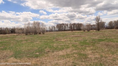 Lot View 6