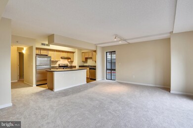 The Aurora Condominiums unit 316, Silver Spring, MD 20910 - photo 4