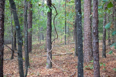 914 Park Swain Rd, Grand Junction, TN 38039 - photo 3