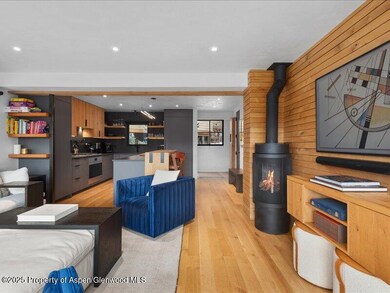 100 N 8th St unit 15, Aspen, CO 81611 - photo 5