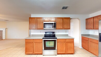 24622 Magnolia Falls, San Antonio, TX 78261 - photo 7