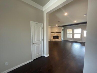 413 Zonaverde Ct, Poolville, TX 76487 - photo 5