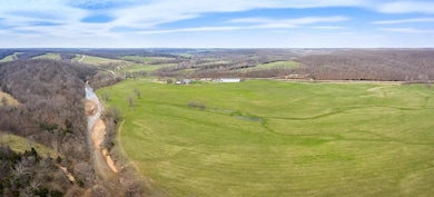 10790 Z Hwy, Falcon, MO 65470 - photo 5