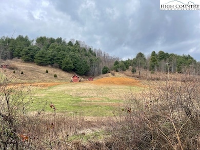 Tbd Laurel Branch Rd, Vilas, NC 28692 - photo 2