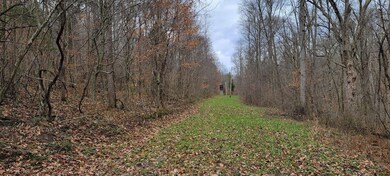 0 Blanton Rd unit 25681933, Mitchell, IN 47446 - photo 6