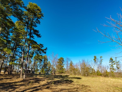 Lot E Malberg Rd, Cabool, MO 65689 - photo 7