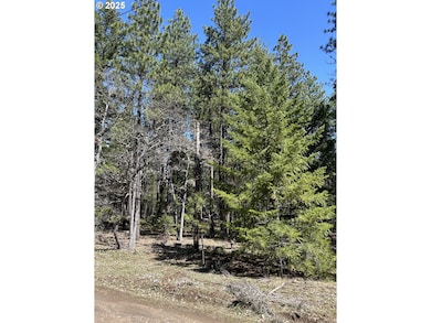 4 Thompson Trail, Goldendale, WA 98620 - photo 6