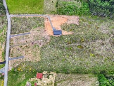 597 Brown Rd E, Adna, WA 98532 - photo 5