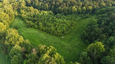 0 Ready Rd unit LotWP001 24349622, Caneyville, KY 42721 - photo 5