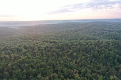 Tbd Tract 3 Highway 34, Silva, MO 63964 - photo 3