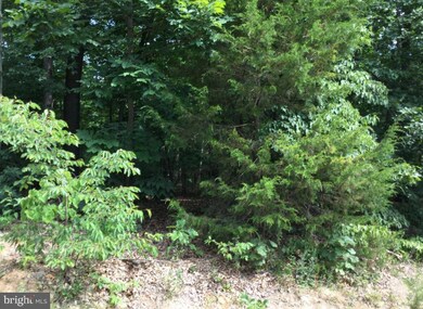 0 Blue Bell Ln unit VASH121500, Strasburg, VA 22657 - photo 4