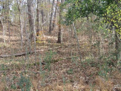 0 River Oaks Dr unit RTC2607339, Spencer, TN 38585 - photo 2