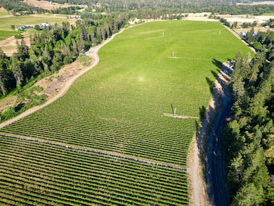 DJI_0236