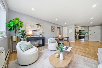 20 Radcliffe Rd unit 209, Allston, MA 02134 - photo 5