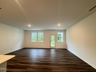 229 Lily Patch Ln, Smithfield, NC 27577 - photo 4