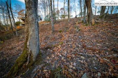 LV2 Old Laurel Ln, Elk Park, NC 28622 - photo 7