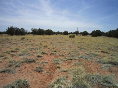 20150709 From homesite tire tracks out d