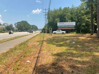 9890 Ocean Hwy, Pawleys Island, SC 29585 - photo 4