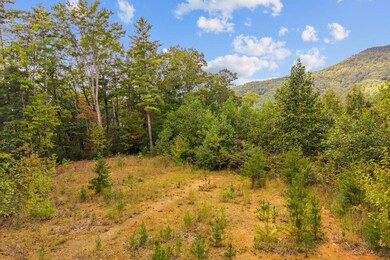 0 Grassy Mountain Rd unit 419178, Chatsworth, GA 30705 - photo 3