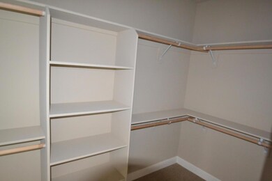 Owner's Walk-in closet